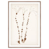 Botanical In Umber II Framed Art 