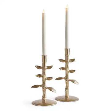 Brier Taper Holder Objects & Accents 