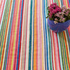 Bright Stripe Handwoven Indoor/Outdoor Rug - Multi Rugs 