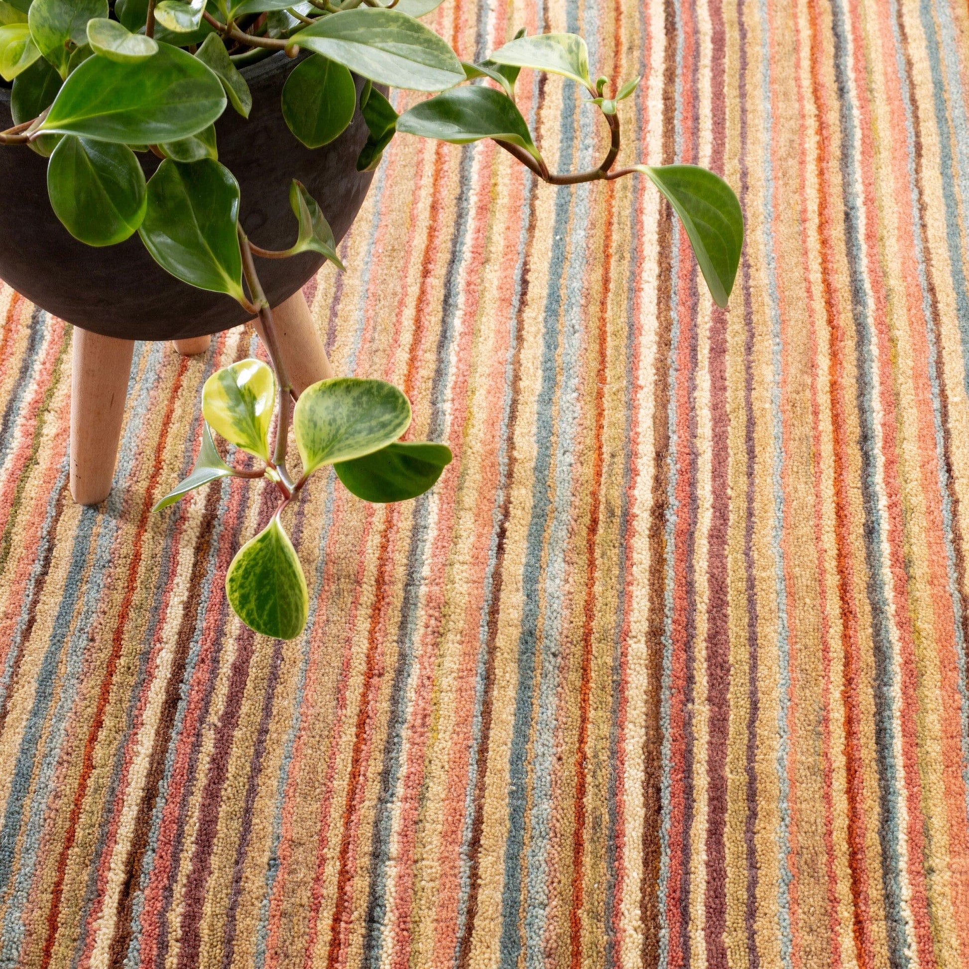 Brindle Stripe Spice Hand Loom Knotted Wool Rug Rugs 