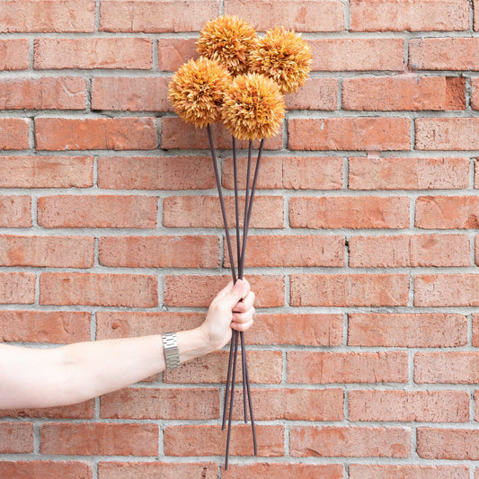 Brown Allium Stem 26" Greenery 