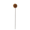 Brown Allium Stem 26" Greenery 