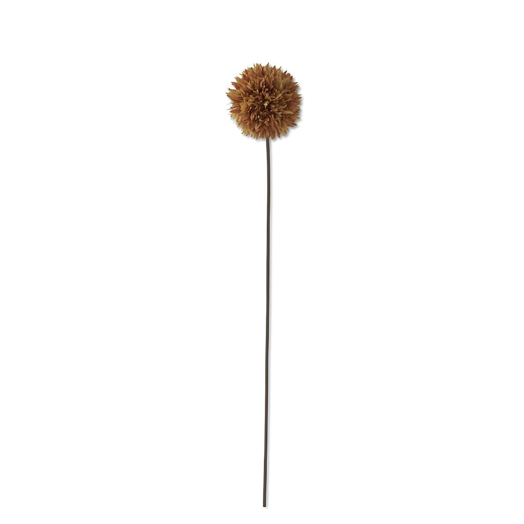 Brown Allium Stem 26" Greenery 
