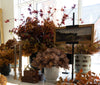 Brown and White Cachepot Vases, Planters & Jars 