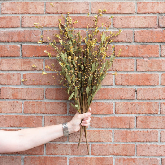 Brown Bead Bud Spray 25" Greenery 