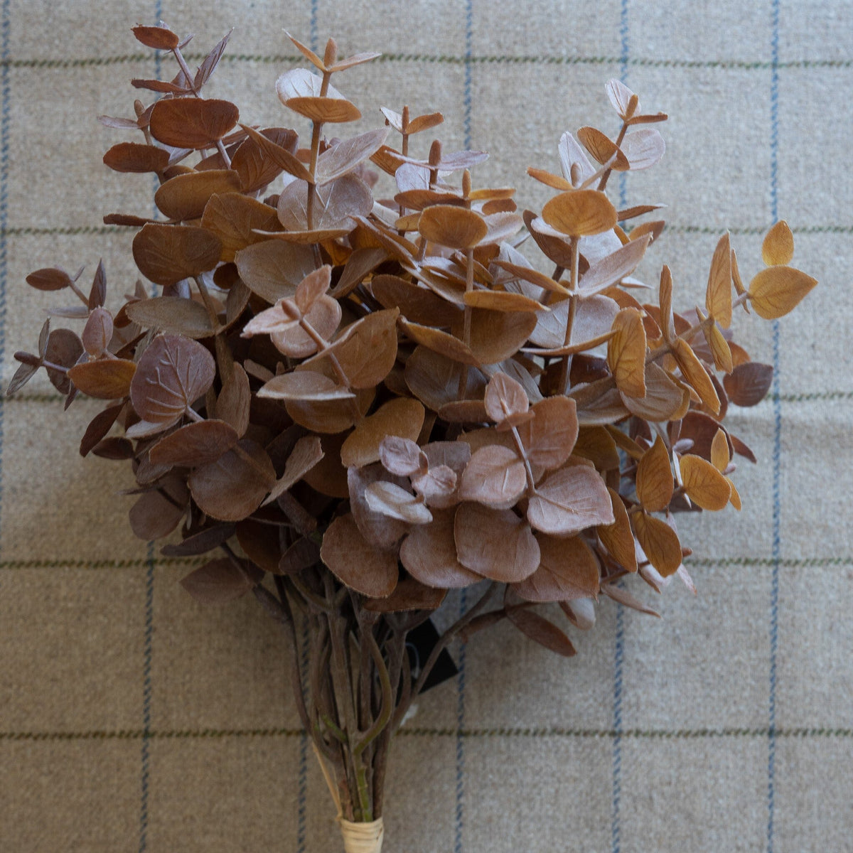 Brown Eucalyptus Bundle 13.5" Greenery 