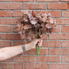 Brown Eucalyptus Bundle 13.5" Greenery 