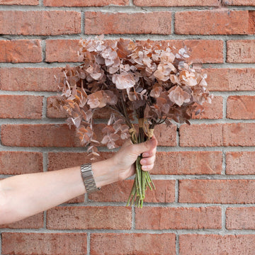 Brown Eucalyptus Bundle 13.5" Greenery 