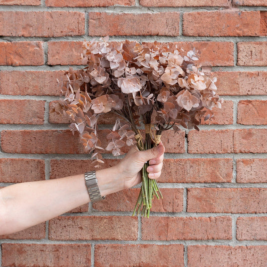 Brown Eucalyptus Bundle 13.5" Greenery 