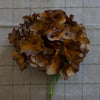 Brown Hydrangea Stem 18" Greenery 