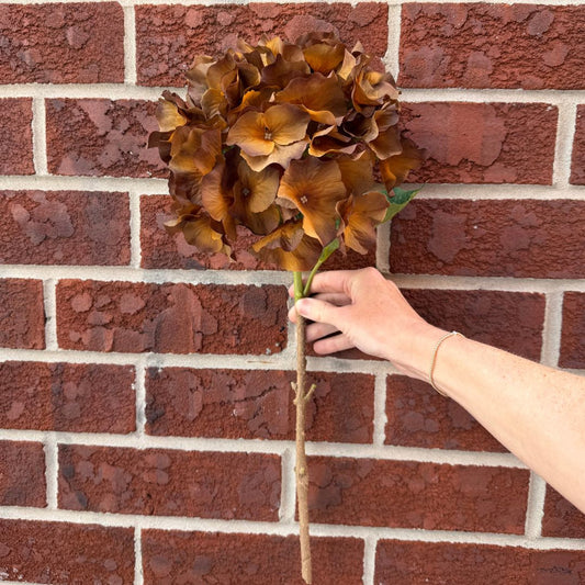 Brown Hydrangea Stem 18" Greenery 