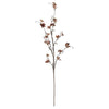 Brown Magnolia Blossom Spray Greenery 
