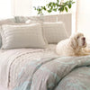 Brussels Natural Quilted sham Shams & Pillowcases 
