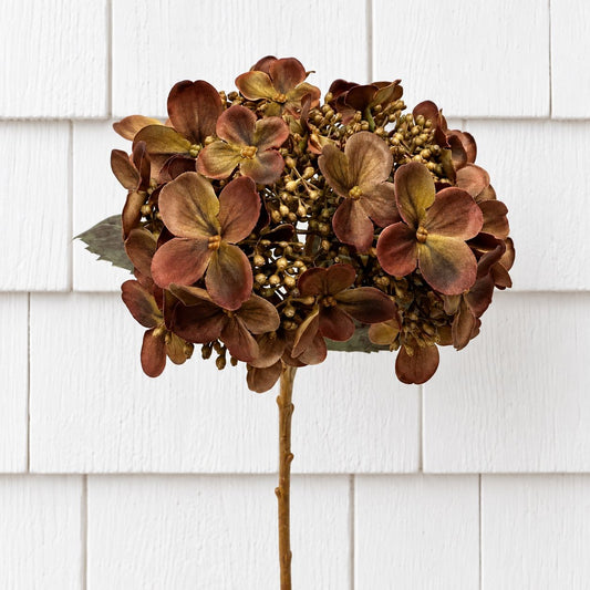 Budding Hydrangea Spray 21"- Brown Greenery 