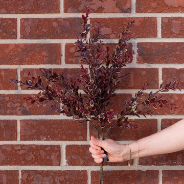 Burgundy Boxwood Stem 27" Greenery 