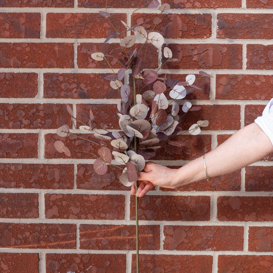 Burgundy Eucalyptus Stem 36" Greenery 