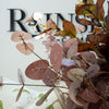 Burgundy Eucalyptus Stem 36" Greenery 