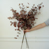Burgundy Eucalyptus Stem 36" Greenery 