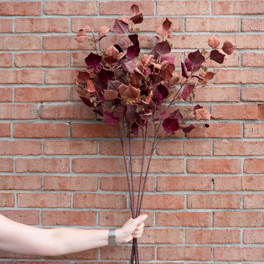 Burgundy & Rust Silver Dollar Eucalyptus 38" Greenery 