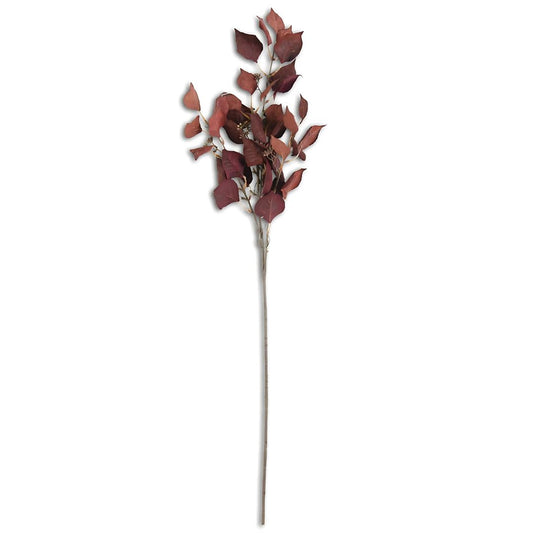 Burgundy & Rust Silver Dollar Eucalyptus 38" Greenery 