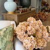 Burnt Cream Hydrangea 30" Greenery 