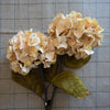 Burnt Cream Hydrangea 30" Greenery 