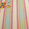 Cady Stripe Multi Machine Washable Rug RUGS 
