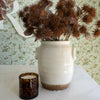Cassis Vanilla Tortoise Vessel Candle Candles & Home Fragrance 