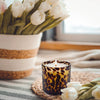 Cassis Vanilla Tortoise Vessel Candle Candles & Home Fragrance 