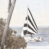 Catamaran - Small Framed Art 