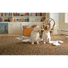 Cat's Paw Brown Hand Micro Hooked Wool Rug Rugs 