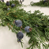 Cedar and Berry Garland- 6' Greenery 