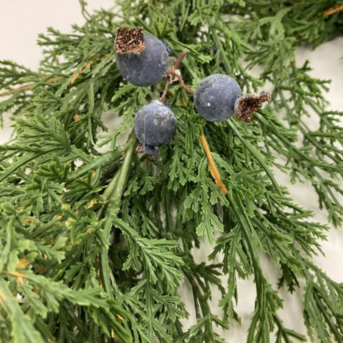 Cedar and Berry Garland- 6' Greenery 