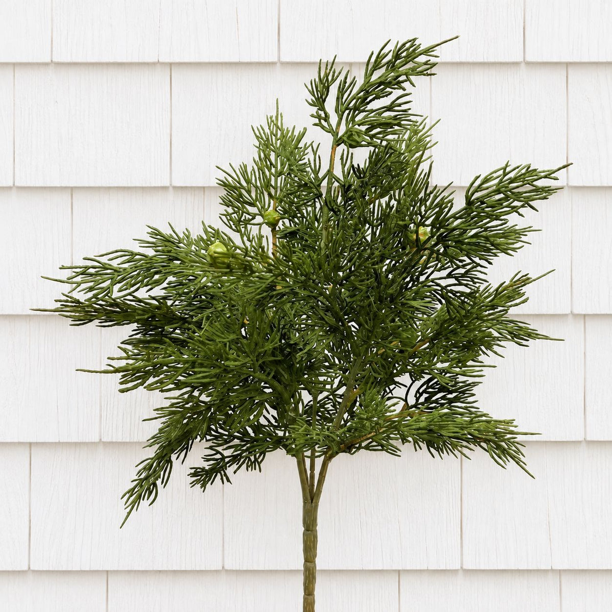 Cedar Bush with Berries 17" Greenery 