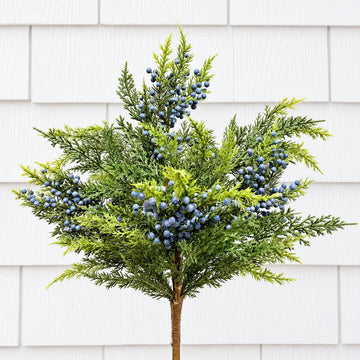 Cedar with Blueberry Bush 18" Greenery 