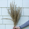 Champagne Stem with Teardrop Leaves - 31" Greenery 