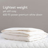 Chrysalis Baffle Box Duvet Insert Duvet Insert 