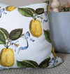 Citron Pillow - 20" Pillows 