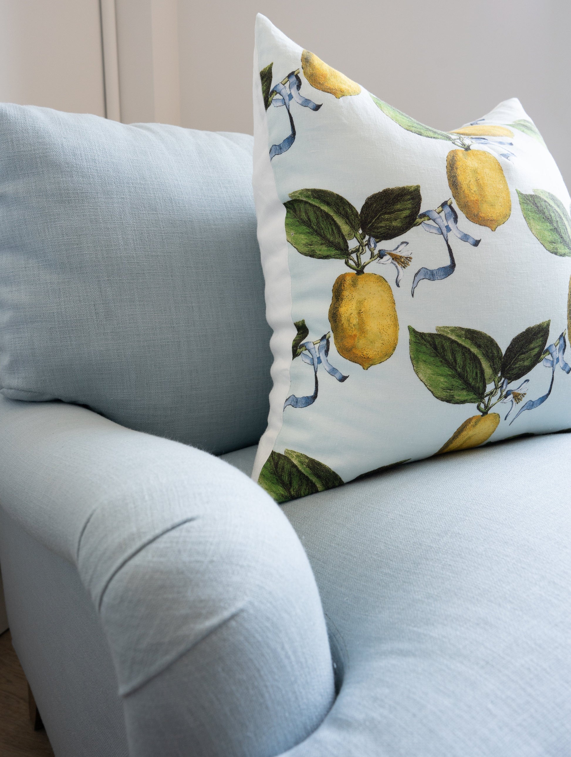 Citron Pillow - 20" Pillows 