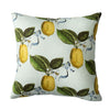 Citron Pillow - 20" Pillows 