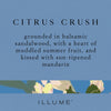 Citrus Crush Candle - 13oz Candles & Home Fragrance 