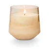 Coconut Milk Mango Candle- 13oz Candles & Home Fragrance 
