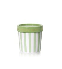 Coconut Santal Gelato Cup Candle Candles & Home Fragrance 
