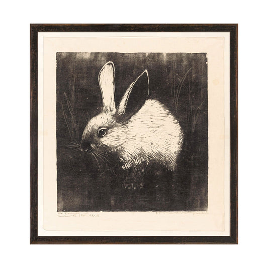 Collection 23 - The Rabbit C.1907 Framed Art 