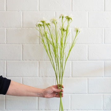 Cornflower Spray- Cream Greenery 