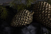Coulter Cone Objects & Accents 