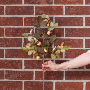 Cream Berry Spray 24" Greenery 