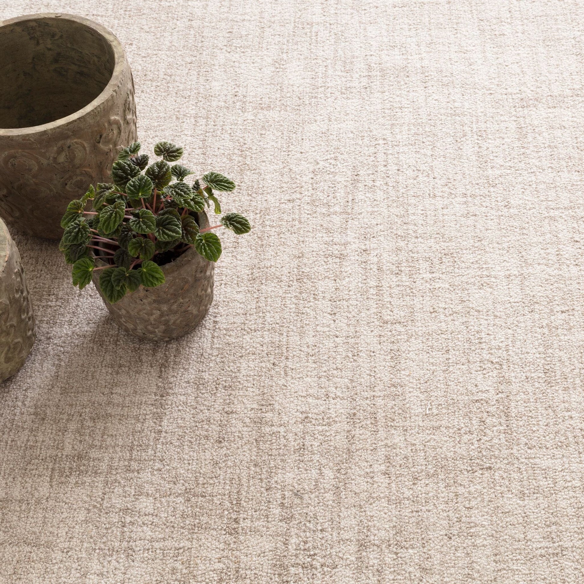 Crosshatch Ivory Hand Micro Hooked Wool Rug Rugs 