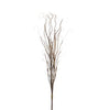 Curly Willow Bundle 