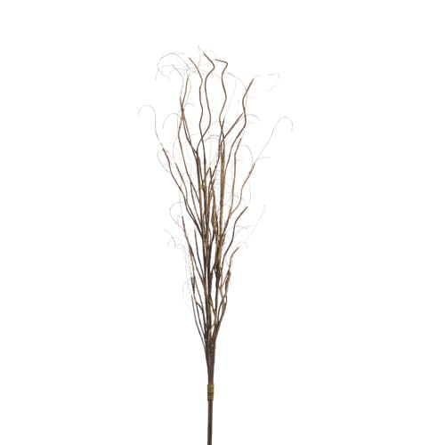 Curly Willow Bundle 